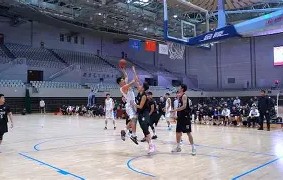 BBIN电子-我国篮球联赛