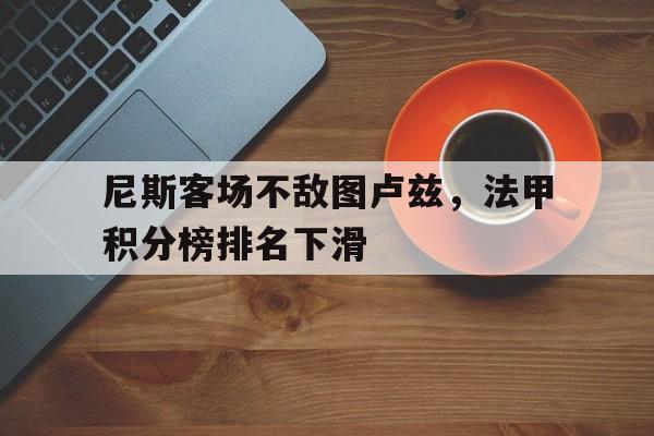 尼斯客场不敌图卢兹，法甲积分榜排名下滑的简单介绍